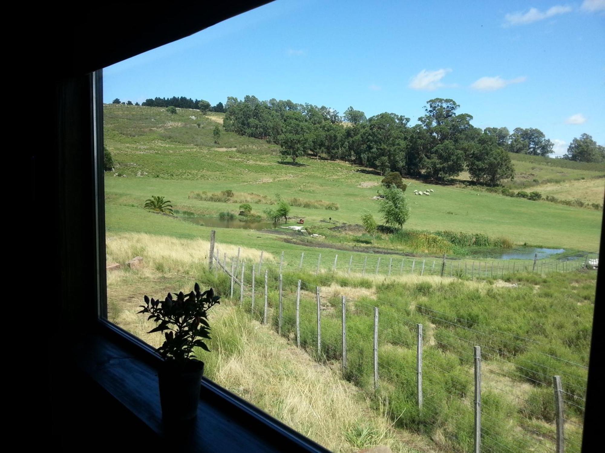 Cabanas Valle De Los Ciervos Tandil Room photo